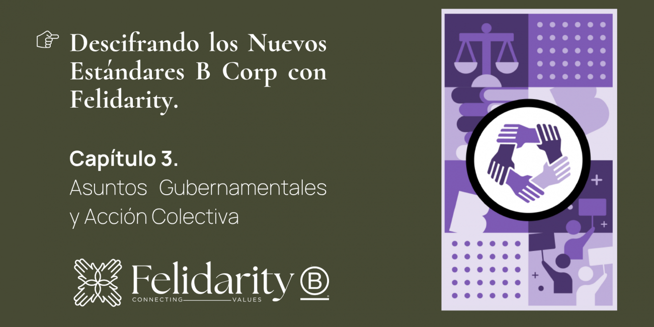 GACA B Corp Felidarity