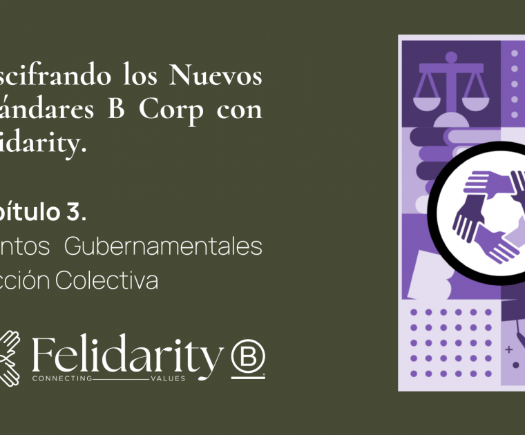 GACA B Corp Felidarity